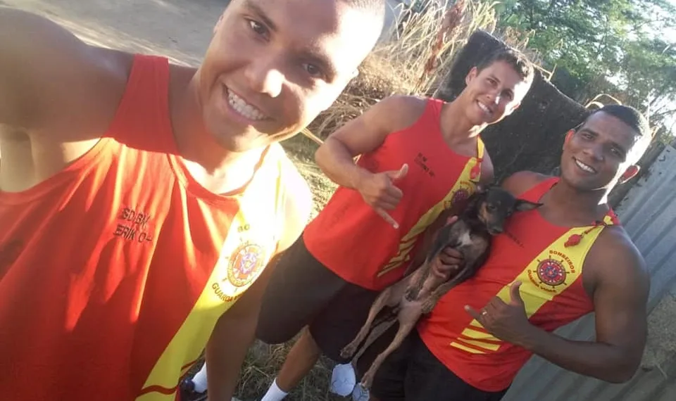 PARABÉNS BOMBEIROS!! SALVARAM UM CÃO DE ENFORCAMENTO NO RJ
