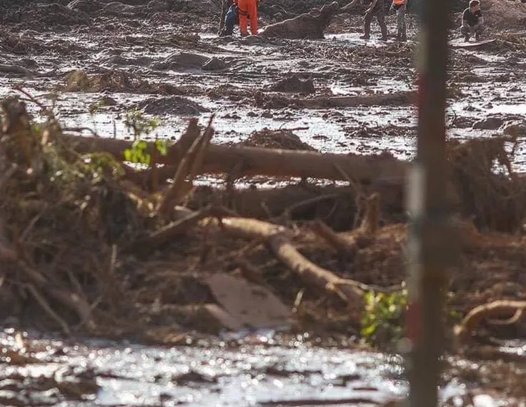 SOBRE A EUTANÁSIA DOS ANIMAIS EM BRUMADINHO!