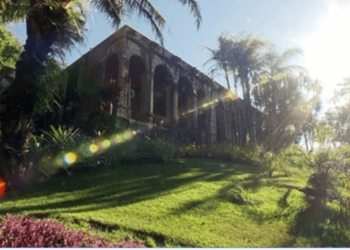 Visitar o Sítio Roberto Burle Marx, em Barra de Guaratiba, é um Programão