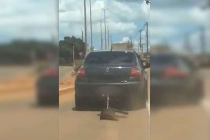 Cachorro é arrastado pelo dono, em carro, por 15 minutos