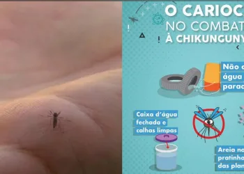 Casos de chikungunya no Rio têm alta de quase 400%