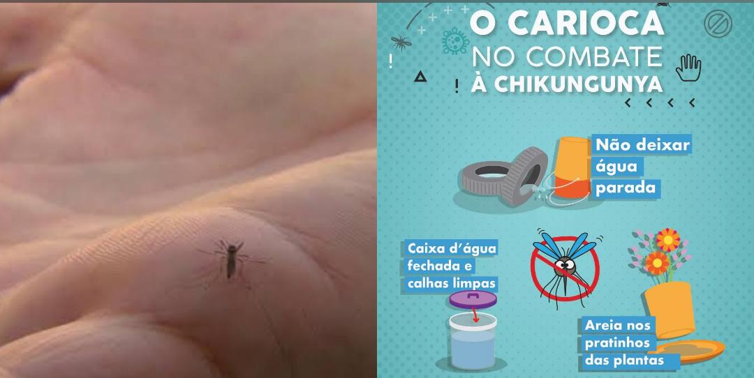Casos de chikungunya no Rio têm alta de quase 400%