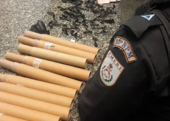 Quatro são presos enquanto comemoravam aniversário de traficante com drogas e fogos de artifício no RJ