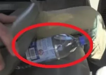 Bombeiros estão implorando para que você nunca deixe uma garrafa de água no carro.