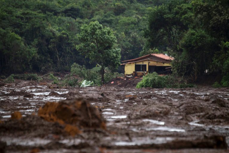 Milhares de animais agonizam e morrem soterrados em Brumadinho