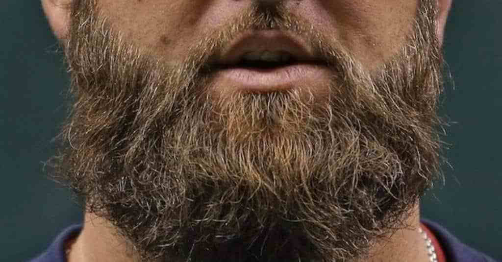 Barbas possuem micróbios encontrados em fezes humanas, alerta estudo
