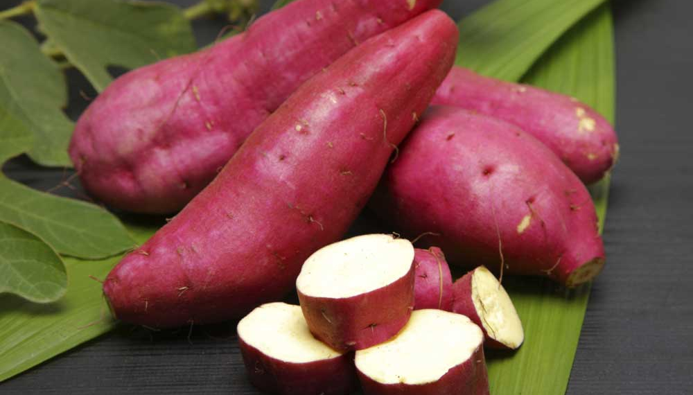 A batata-doce é a chave para o fim da gastrite, refluxo, azia, e até mesmo úlceras!