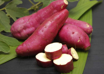 A batata-doce é a chave para o fim da gastrite, refluxo, azia, e até mesmo úlceras!