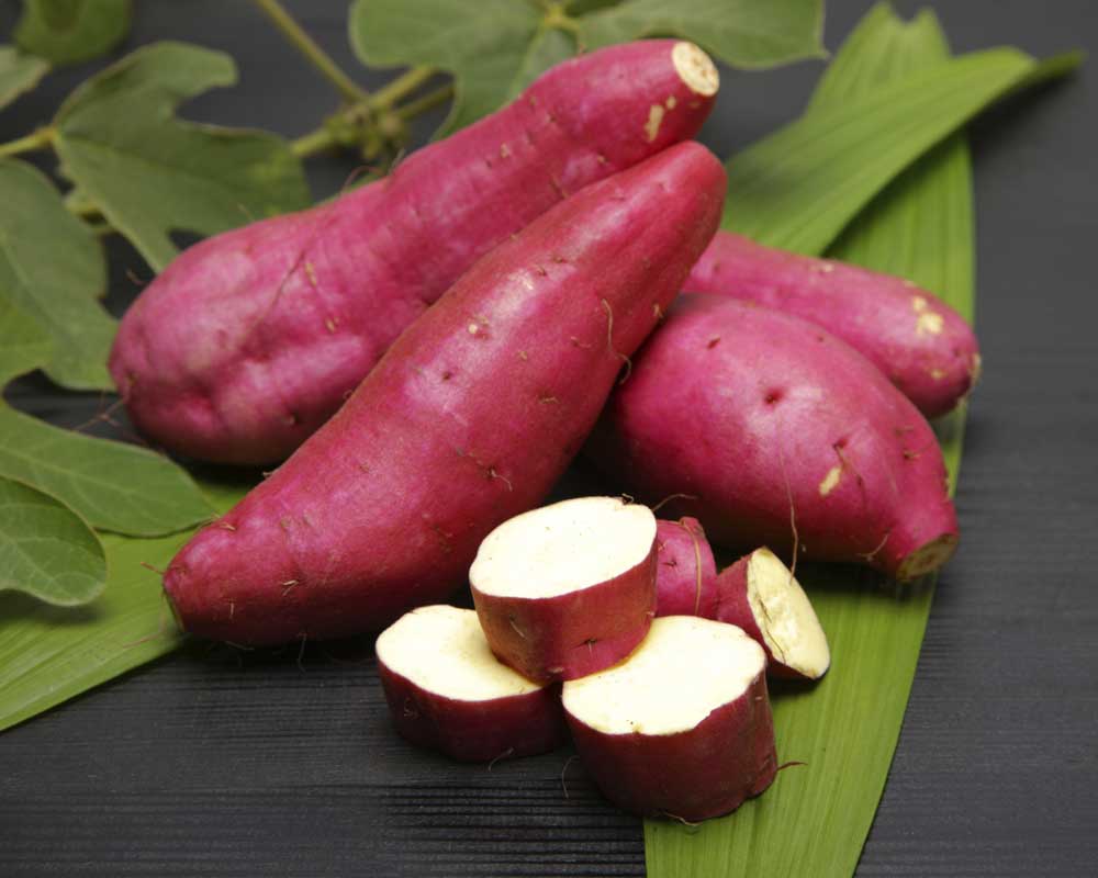 A batata-doce é a chave para o fim da gastrite, refluxo, azia, e até mesmo úlceras!