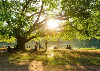 Contato com a natureza melhora a saúde mental, mostra estudo