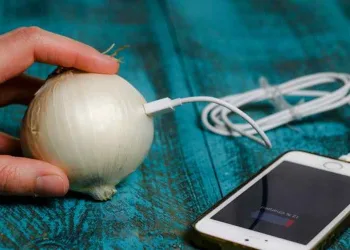 Aprenda a carregar seu celular com uma cebola