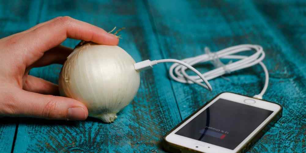 Aprenda a carregar seu celular com uma cebola