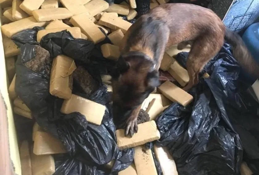 Polícia apreende 400 quilos de drogas em favela no Rio