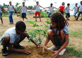 EDUCAÇÃO AMBIENTAL PODE VIRAR DISCIPLINA OBRIGATÓRIA NAS ESCOLAS