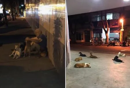 Morador de rua tem AVC e cachorros aguardam notícias na porta do hospital