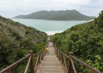 Traficantes invadem áreas de proteção ambiental em Arraial do Cabo