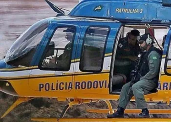 PRF abate animais a tiros em Brumadinho, provoca revolta e justifica: ‘Eutanásia’