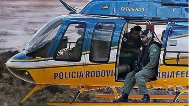 PRF abate animais a tiros em Brumadinho, provoca revolta e justifica: ‘Eutanásia’