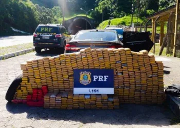 Polícia apreende mais de 600kg de maconha que seria entregue no Jacaré