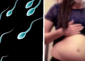 Espermatozoide voador engravida menina  e deixa a cidade em pânico