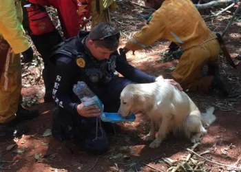 CADELA FAREJADORA BOMBEIRA  QUE ESTÁ EM BROMADINHO É CARIOCA!!