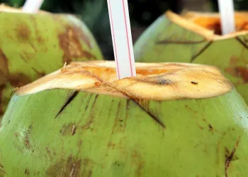 O que acontece quando você bebe água de coco por uma semana?