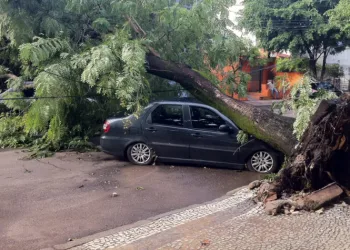 Light será multada pela Prefeitura em cerca de R$ 10 milhões por danos do temporal
