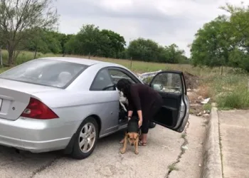 Mulher abre a porta do carro e abandona 4 cachorros e mesmo sendo repreendida, segue seu caminho sem se preocupar