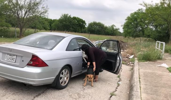 Mulher abre a porta do carro e abandona 4 cachorros e mesmo sendo repreendida, segue seu caminho sem se preocupar