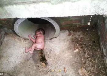RECÉM-NASCIDO SOBREVIVE APÓS SER ABANDONADO DENTRO DE TUBULAÇÃO