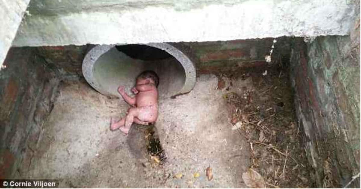 RECÉM-NASCIDO SOBREVIVE APÓS SER ABANDONADO DENTRO DE TUBULAÇÃO