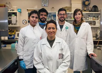 Cientista mata vírus do HPV em mulheres com nova terapia