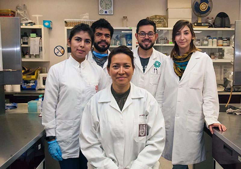 Cientista mata vírus do HPV em mulheres com nova terapia