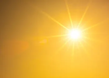 Pesquisa revela que aquecimento global pode influenciar o sexo do bebê
