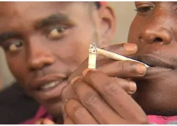 Nova droga mortal mistura heroína, veneno de rato e coquetel de HIV