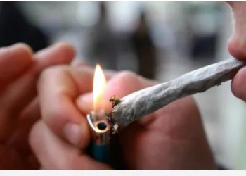 Fumar maconha pode deixar homens e mulheres inférteis e gerar impotência sexual