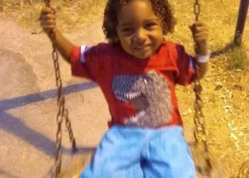 Criança morre vítima de leishmaniose visceral em comunidade do RJ