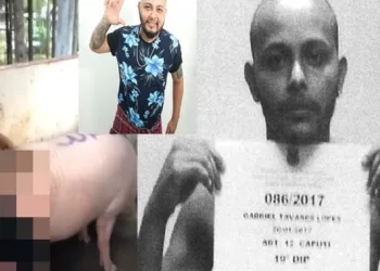 Cantor de forró e estuprador de porco, já responde por crime “porte ilegal de arma”, veja