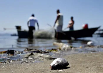 Um bilhão de litros de chorume são despejados na Baía de Guanabara