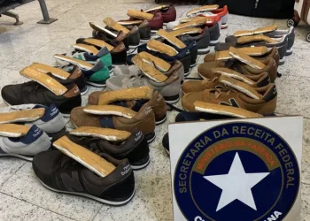 Cães farejadores da PF sentem cheiro estranho em Tênis do pó