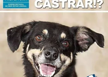 CASTRAÇÃO GRATUITA DE ANIMAIS.