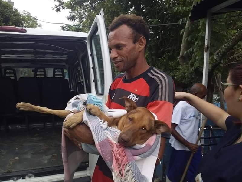 CÃO ATINGIDO POR BALA PERDIDA EM COMUNIDADE NA ZONA OESTE MORREU