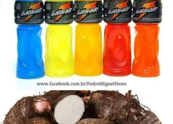 VOCÊ SABIA QUE O GATORADE E O INHAME AJUDAM COMBATER A CHIKUNGUNYA E OUTRAS DOENÇAS ?