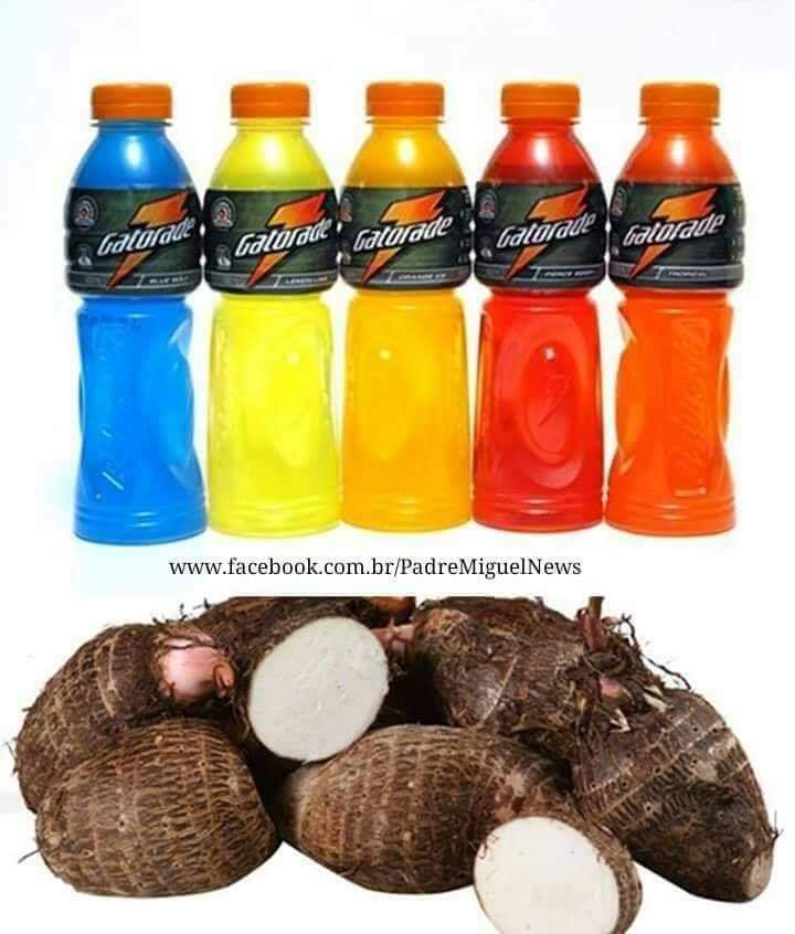 VOCÊ SABIA QUE O GATORADE E O INHAME AJUDAM COMBATER A CHIKUNGUNYA E OUTRAS DOENÇAS ?