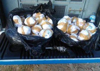 PM apreende 10 mil pinos de cocaína em praia do RJ