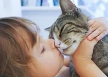 Estudo aponta que quem tem gatos é mais inteligente do que quem tem cães.