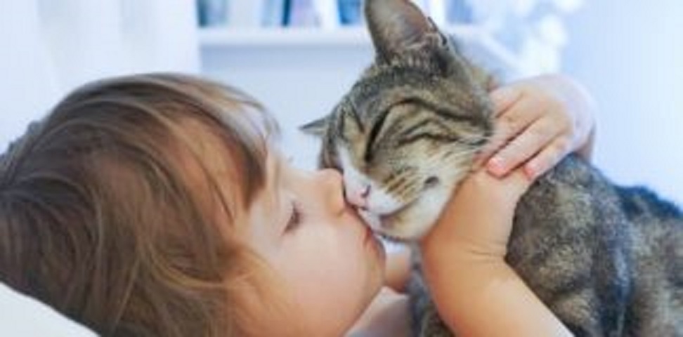 Estudo aponta que quem tem gatos é mais inteligente do que quem tem cães.