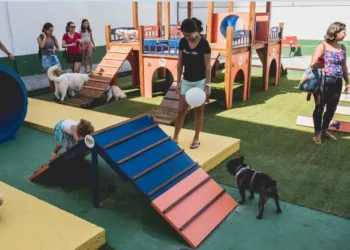 Shopping na Zona Oeste realiza Aniversário Pet