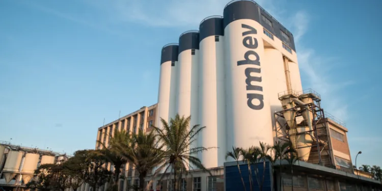 Ambev diminui em 50% a quantidade de água em suas cervejas