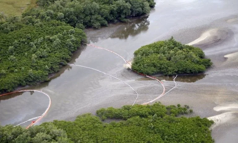 Há quase 15 dias um vazamento de óleo atinge a Baía de Sepetiba